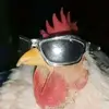 ???? - @alpetoo - TikTok
