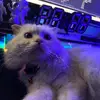alpetozxiam - @alpetozxiam - TikTok