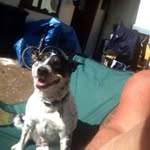 Al Petrie - @al.petrie.10 - Instagram