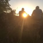 @al.pfeifer - Instagram