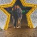 Alyse Pfeifer - Facebook