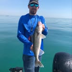 Al Philipsen - @alphilipsen - Instagram