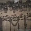 Al Phillips - @al.phillips8 - TikTok