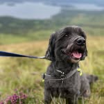 Alan Pickering - @alanbgpickering - Instagram