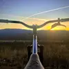 Alex Pickering - @alexpickering - TikTok