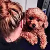 deeonealpickering - @deeonealpickering - TikTok