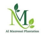 مشتل ومزرعة المزروعي - @al_mazrouei_plantation - Instagram