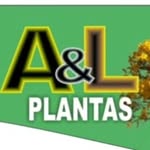 A & L Plantas "o verde é vida" - @alplantas8384 - Instagram