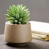 Al. Green plant - @7s9mnvimdfb - TikTok