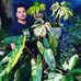 AL Plant - Facebook