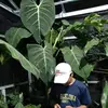 Al Plant's - @al.plants - TikTok