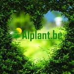 ALPLANT NV - @alplantnv - Instagram