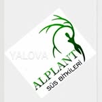 ALPLANT SÜS BİTKİLERİ - YALOVA - @alp_plant - Instagram