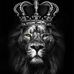 Alex Plummer - Facebook
