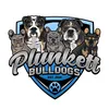 sallyplunkett1963 - @sallyplunkett1963 - TikTok