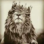 مصطفى الشاعر - @alpoet56 - Instagram