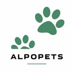 ОДЕЖДА ДЛЯ СОБАК - @alpopets_moscow - Instagram