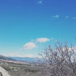 esther ramirez - @alposagato56 - Instagram
