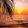 alpost - @dance.live.4 - TikTok
