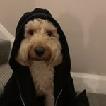 Al Preston - @alpreston603 - Instagram
