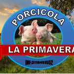 La primavera - @porcicolalaprimavera - Instagram