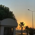 @al_primo8 - Instagram