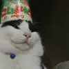 .alprimo - @.alprimo - TikTok