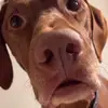 Alex - @alexproctor85 - TikTok
