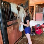 Alexis provencher - @alexis_provencher122 - Instagram