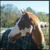 alexisprovencher74 - @alexisprovencher74 - TikTok