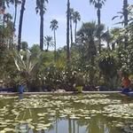Amy Purvis - @alpurvis27 - Instagram