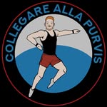 𝗚𝗜𝗡𝗡𝗔𝗦𝗧𝗜𝗖𝗔 𝗔𝗥𝗧𝗜𝗦𝗧𝗜𝗖𝗔 𝗠𝗘𝗠𝗘 - @collegare_alla_purvis - Instagram