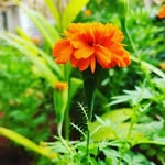 Mandyal  put - @put.mandyal - Instagram