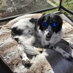 Allen Quiming - @allenquiming - Instagram
