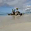 Al Quin - @al.quin4 - TikTok
