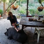 Al Quinta Forest Garden - @al_quinta_forest_garden - Instagram
