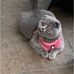 Al Quinton - Facebook
