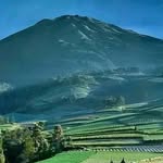 Al Raden - @alraden62 - Instagram