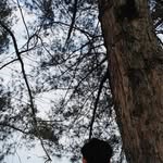 Raden Al Sultan - @alraden___ - Instagram