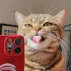 alramon - @alramon77 - TikTok