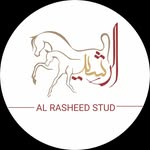 Al Rasheed Arabian Horse Stud  مربط الرشيد للخيول العربية - @alrasheed.stud - Instagram
