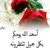 Al reda - @al.reda87 - TikTok