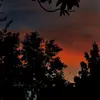 alreis - @alreist - TikTok