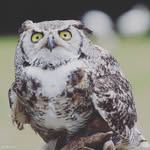 Alexander J. - @alpha19.reiser - Instagram