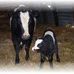 Al Reiter - Facebook