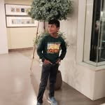 Sunny Sai Sunny - @h.alrenner - Instagram
