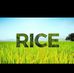 Al Wasay Rice - Facebook
