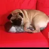 Rice - @alex.rice - TikTok