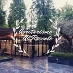 Agriturismo Al Roccolo - @alroccolo - Instagram