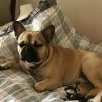 Al Rocco - @rizziconicalabria - Instagram